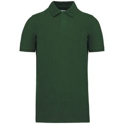 Polo Bio 180 K2025 Polo Bio 180 K2025