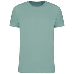 T-shirt Bio 190IC K3032ICC SAGE