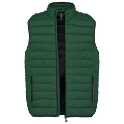 Bodywarmer Homme Doudoune Légère Bodywarmer Homme Doudoune Légère